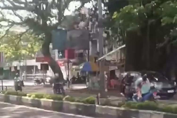Viral Emak-Emak Gendong Anak Naik Motor Lawan Arus di Malang