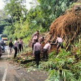 Longsor Tutup Akses Jalan Raya Tasikmalaya-Garut, Sejumlah Material Halangi Jalan