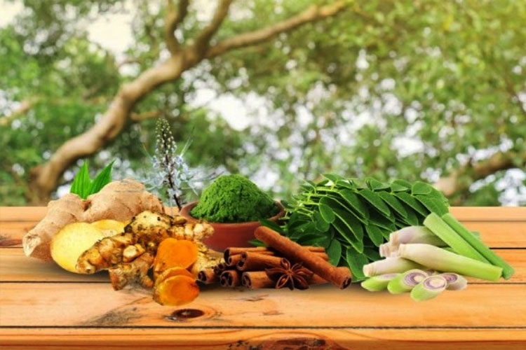 Tanaman Herbal (Foto:Tangkapan Layar)