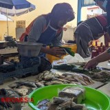 Harga Ikan Kembung di Kabupaten Pacitan Terus Melejit, Pedagang dan Konsumen Menjerit