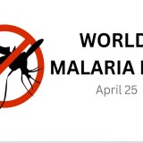 25 April, Peringatan Hari Malaria Sedunia