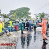 Kabupaten Malang Alami 278 Kejadian Bencana Berdampak Selama 2023