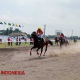 Ribuan Warga Antusias Saksikan Kejuaraan Pacuan Kuda di Stadion Sultan Agung Bantul