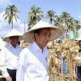 Jokowi Dorong Semangat Perjuangan Buruh untuk Mewujudkan Keadilan dan Kesejahteraan