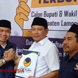 Pilkada Lamongan: Ketua DPRD Daftar ke NasDem, Mengaku Sudah Punya Cawabup