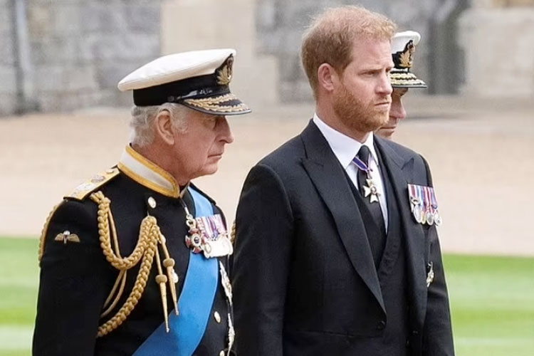 Pangeran Harry dan Raja Charles menjelang pemakaman Ratu pada September 2022. (FOTO: Daily Mail)