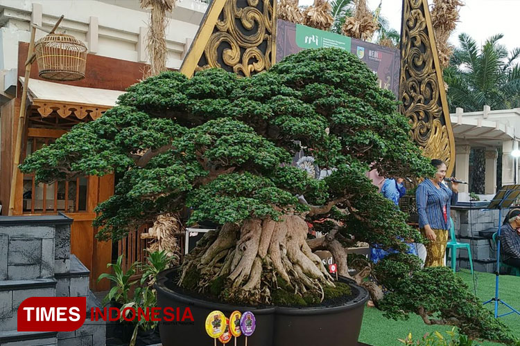 Keindahan-bonsai-2.jpg
