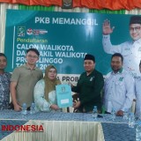 Rukmini Buchori Ikut Penjaringan, DPC PKB Kota Probolinggo Tetap Usung Habib Hadi Zainal Abidin