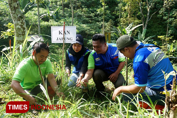 penanaman-pohon-KAN-Jabung.jpg