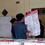 Pemilih TPS Pilkada Kabupaten Malang Gemuk, Honor Anggota PPS Tak Sebesar Saat Pemilu