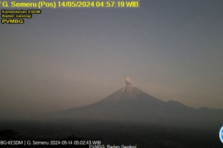 Erupsi Gunung Semeru yang terpantau CCTV pada Selasa (14/5/2024) pukul 04.56 WIB. (Foto: ANTARA/HO-PVMBG)
