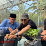 Inovasi Agrobisnis Ala Pemuda Probolinggo; Tak Perlu Punya Sawah untuk Jadi Petani