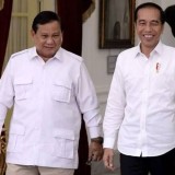 Ditanya Kemungkinan Jadi Penasihat Prabowo, Jokowi: Saya Masih Presiden Lho