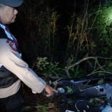 Mobil Masuk Jurang di Ngadas Malang: 4 Meninggal, 5 Dirujuk ke RS