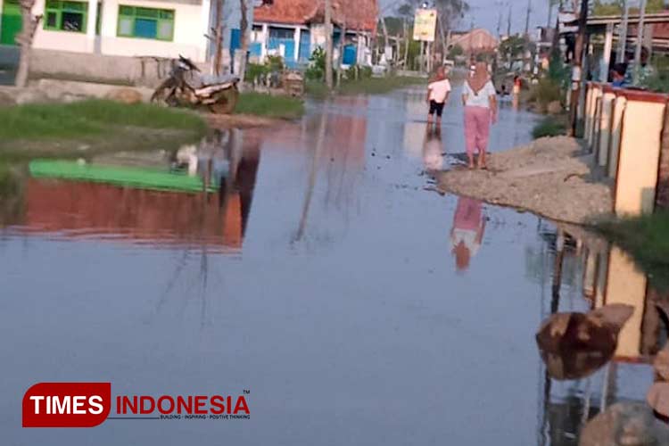 Nampak genangan air rob mengepung pemukiman warga di Desa Blendung, Kecamatan Ulujami. (Foto: Muswadi )
