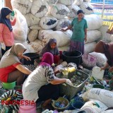 Kiprah Emak-emak Desa Tanjungrejo, Olah Sampah Warga untuk Bayar PBB Desanya