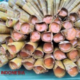 Exploring the Unique Delight of Cocorot: A Tasikmalaya Culinary Gem