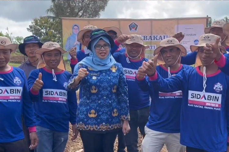 Bupati Blitar, Rini Syarifah dalam rangkaian kegiatan penanaman benih tembakau bersama PT Djarum dan Petrokimia Gresik di lahan marginal Balai Penyuluhan Pertanian (BPP) Kademangan. (FOTO: Pemkab Blitar)