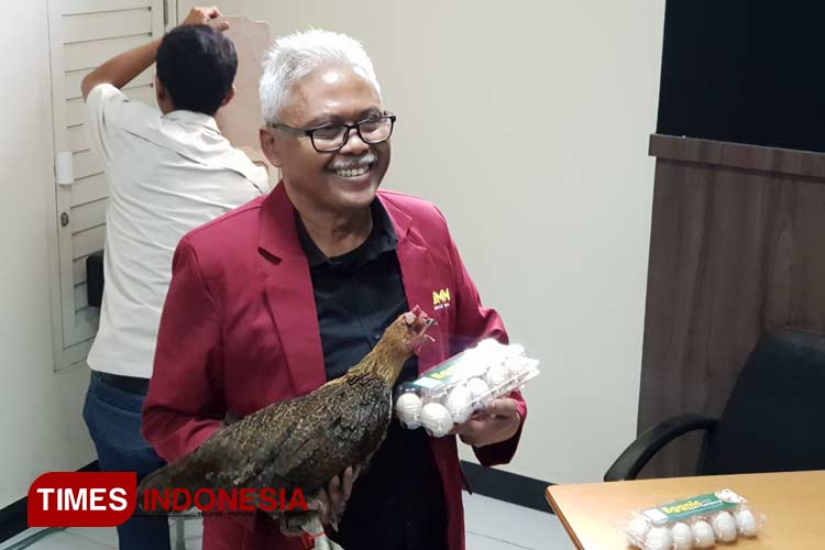 Dosen UMM Ciptakan Ayam Kampung Super, Mampu Produksi Telur Tiap Hari