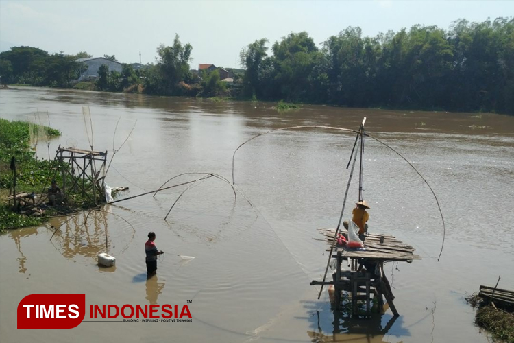 Warga saat mencari ikan di aliran sungai Brantas yang melintasi wilayah Kabupaten Kediri. (Foto: Yobby/TIMES Indonesia)