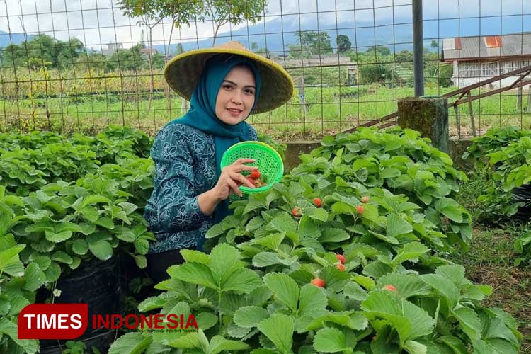 Lima desa wisata di Kota Batu masuk 500 besar Anugerah Desa Wisata Indonesia (ADWI) Tahun 2024. (Foto: Muhammad Dhani Rahman/TIMES Indonesia)