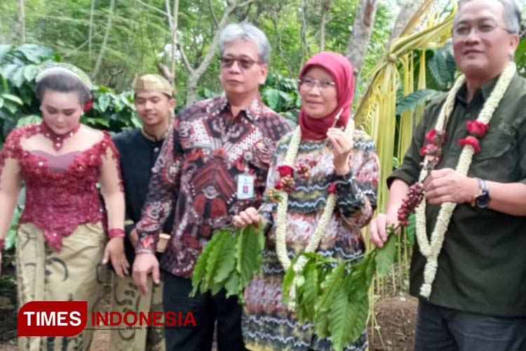 Warga Gelar Selamatan Panen Raya Petik Kopi Kebun Bangelan Wonosari Malang