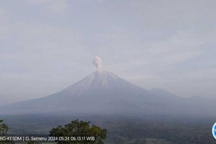 Gunung Semeru erupsi dengan tinggi kolom abu vulkanik teramati sekitar 900 meter di atas puncak pada Jumat (24/5/2024) pukul 06.12 WIB. (FOTO: ANTARA/HO-PVMBG)