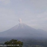 Gunung Semeru Lontarkan Abu Vulkanik hingga 900 Meter