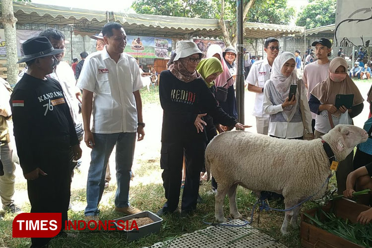 Ketua HPDKI Kediri bersama Kepala DKPP Kabupaten Kediri saat melihat salah satu domba peserta (FOTO: Yobby/TIMES Indonesia)
