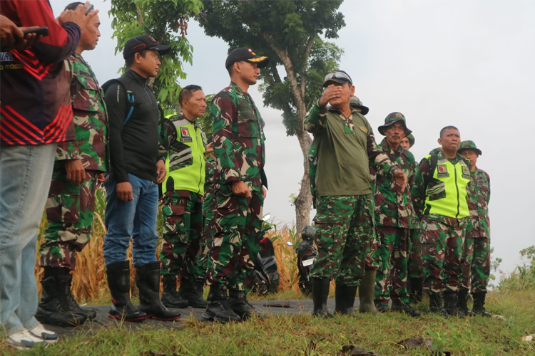 Dandim 0812 Lamongan, Letkol Arm Ketut Wira Purbawan bersama anggota Kodim 0812 Lamongan melakukan pengecekan kesiapan panen jagung. (FOTO : Pendim 0812 for Times Indonesia)