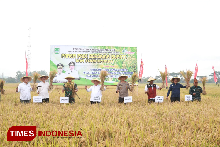 Panen raya pertanian pangan padi oleh Bupati Malang, Sanusi, bersama kelompok tani Desa Tanggung, Kecamatan Turen, Kabupaten Malang, Jumat (41/5/2024). (Foto Humas Prokopim)