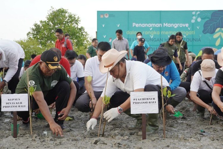 12 Hektar di Kawasan Mangrove Arboretum Park, Pedungan Denpasar Almi ...