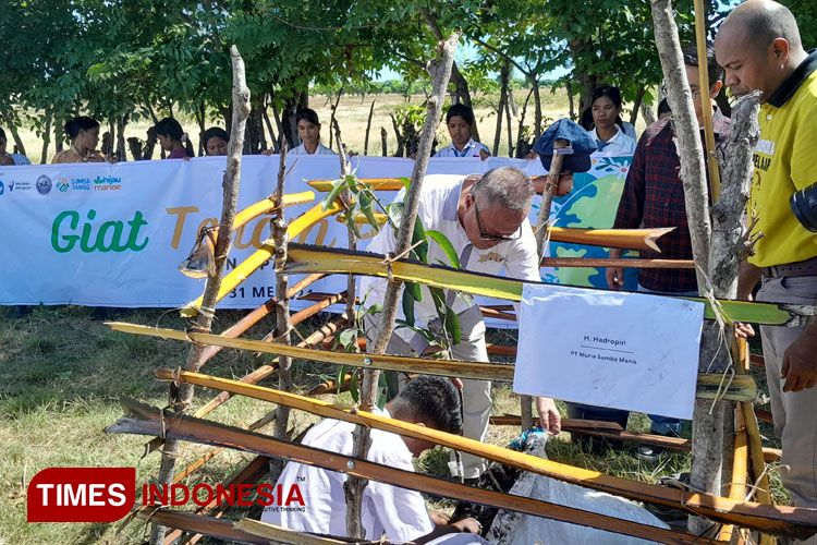 Aksi Menanam Pohon Siswa SMKN 1 Pandawai Sumba Timur Libatkan MSM