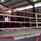 Jelang Poprov Jatim 2025, Jaring Atlet Muda Kota Malang Lewat Fight for Glory