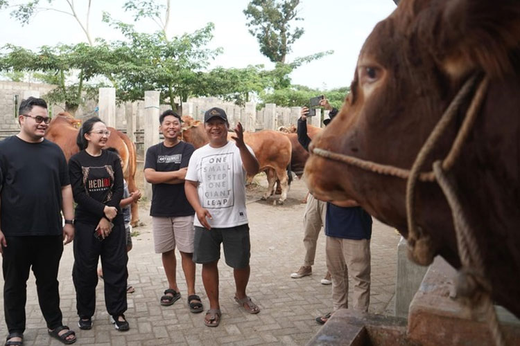 Bupati Kediri saat berkunjung ke IBS Farm untuk membeli hewan sapi untuk dikurbankan (FOTO: Diskominfo Kabupaten Kediri)