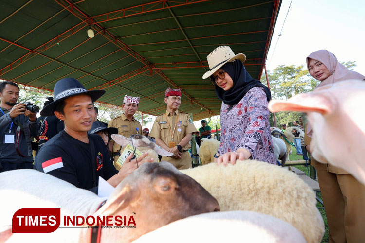 Kabid Kesehatan Hewan dan Kesehatan Masyarakat Veteriner Dispertan Banyuwangi, drh Nanang Sugiharto melakukan pemeriksaan kesehatan bersama Bupati Banyuwangi, Ipuk Fiestiandani. (Foto: Humas Pemkab for TIMES Indonesia)