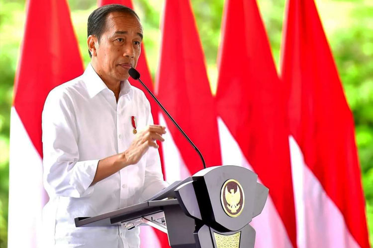 Presiden Jokowi saat di IKN. (FOTO: Setkab)