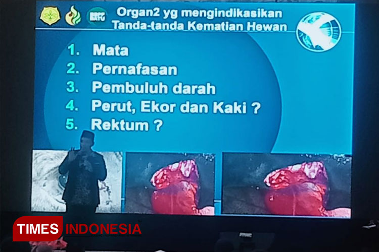 pelatihan-Penyembelihan-Hewan-Qurban.jpg