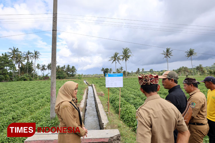 Revitalisasi Irigasi Banyuwangi: Terobosan Padat Karya Untuk Tekan ...