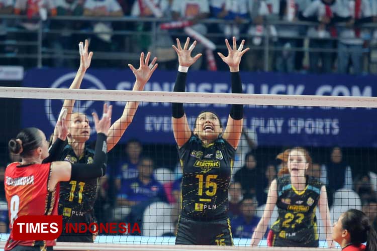 Proliga-2024-b.jpg