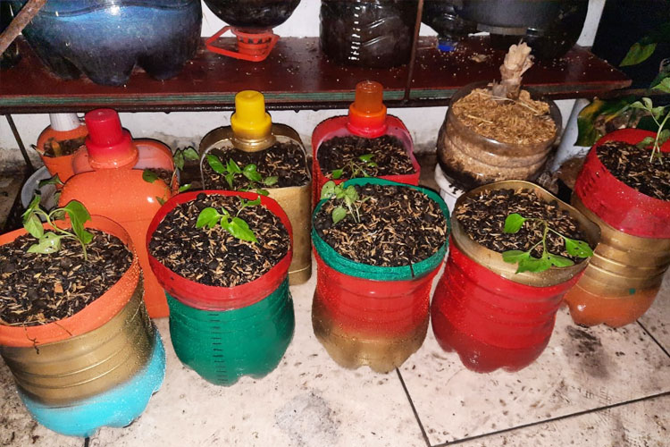 latihan-panahan-2.jpg