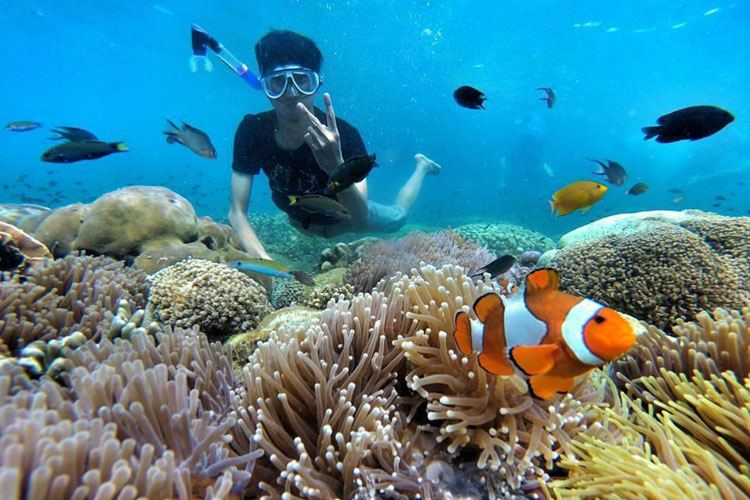 Wisatawan saat menikmati pemandangan bawah laut di Pulau Gili Ketapang. (Foto: Mbolangjatim for TIMES Indonesia)