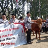 Bupati Malang Kembali Sumbang PGRI Sapi Kurban, Sanusi: Tahun Depan Dua Ekor