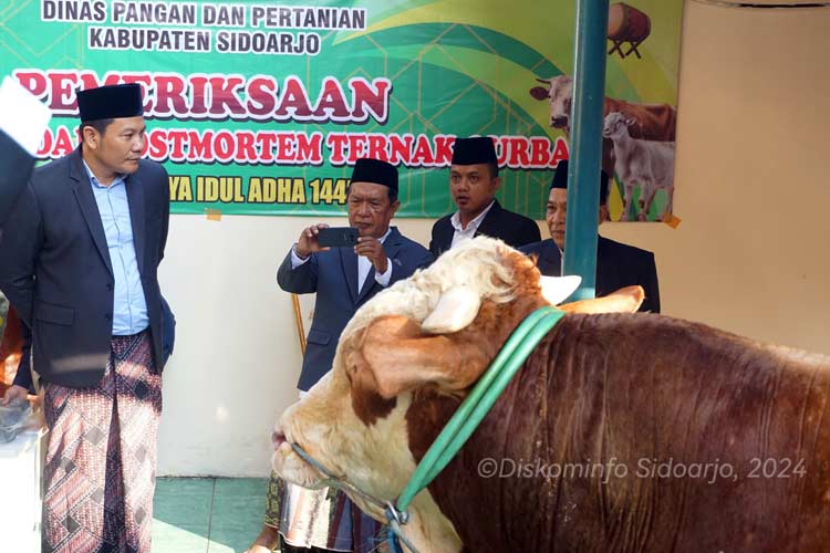 Plt. Bupati Sidoarjo H. Subandi menyerahkan satu ekor sapi kurban kepada Takmir Masjid Agung Sidoarjo. Setelah Sholat Id pada Senin (17/6/2024) pagi. (Foto: Kominfo Sidoarjo)