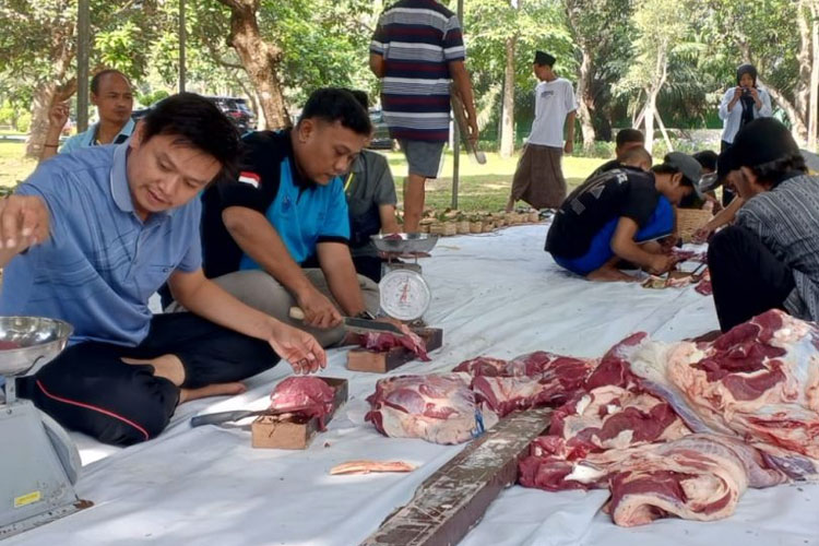 Proses pembagian hewan kurban Polije yang dikemas dalam wadah bambu. (Foto: AJP TIMES Indonesia)