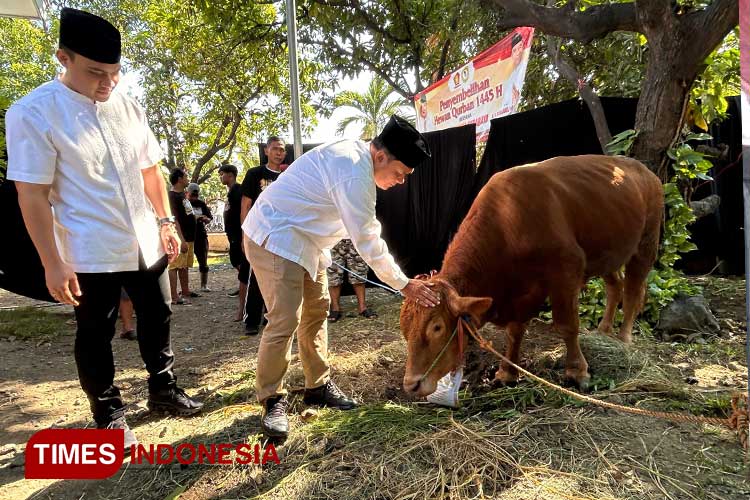 Bambang Haryo Soekartono bersama Ketua Gerindra Surabaya Cahyo Harjo Prakoso meninjau sapi kurban di Kantor DPC Gerindra Surabaya, Selasa (18/6/2024). (Foto: Lely Yuana/TIMES Indonesia)