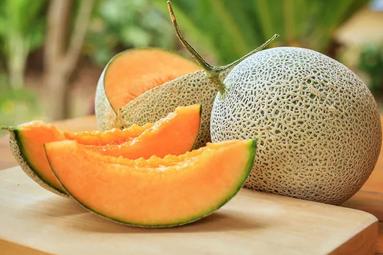 Melon.jpg