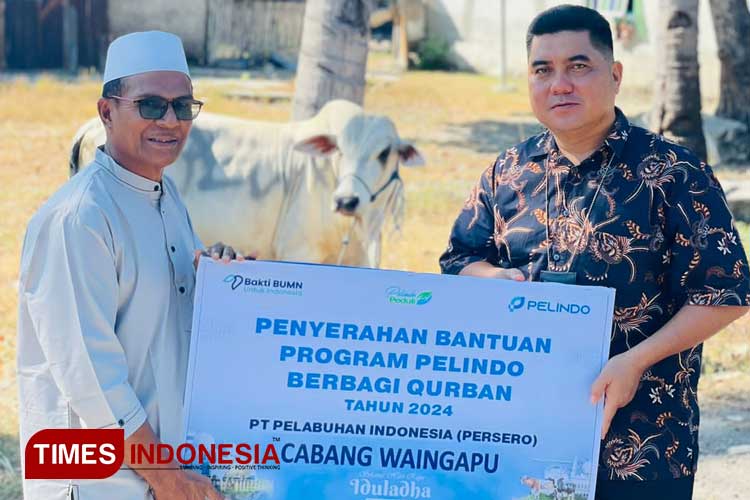 GM PT Pelindo Waingapu saat menyerakkan hewan kurban kepada ketua PHBI Sumba Timur H. Mansyur Muslim. (FOTO: Habibudin/TIMES Indonesia)