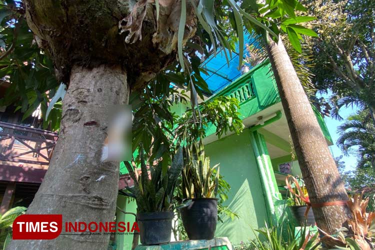 Soal Kucing Mati Terpaku di Pohon Perum Sengkaling Malang, Warga Duga Ada Teror