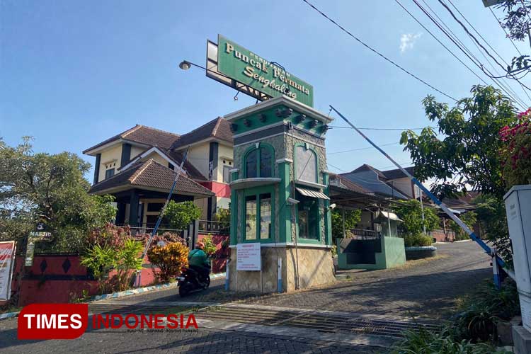 Cat Lovers Kecam Aksi Pelaku Paku Kucing di Pohon, Minta Segera Ditangkap